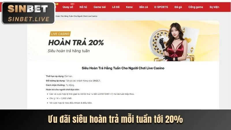 Cải tiến tính năng người dùng hit.club